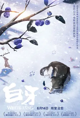 久久精品123