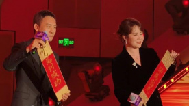 一区二区a视频