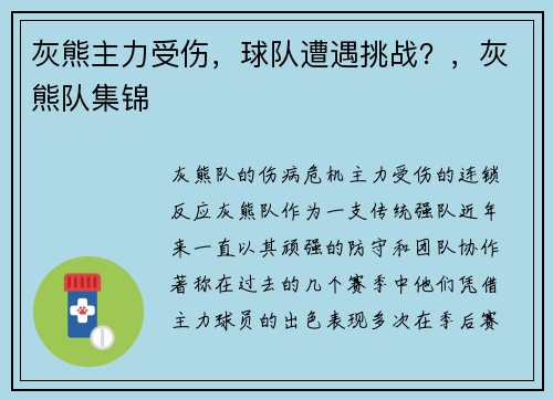 灰熊主力受伤，球队遭遇挑战？，灰熊队集锦