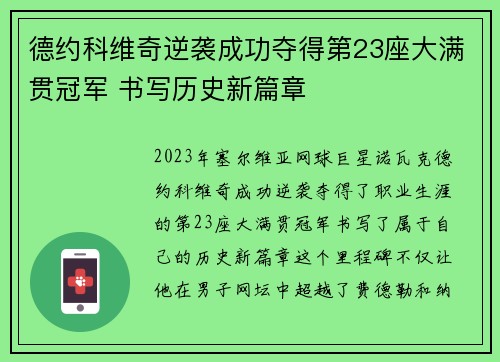 德约科维奇逆袭成功夺得第23座大满贯冠军 书写历史新篇章 德约科维奇逆袭成功夺得第23座大满贯冠军 书写历史新篇章